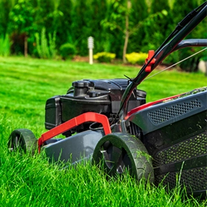 The Best Height to Mow Your Lawn for a Healthier, Weed-Free Yard