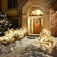 Christmas Lights: Should You Hang Them On Your Trees and Shrubs?