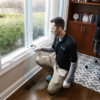Do It Yourself (DIY) Pest Control vs Hiring a Professional
