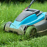 Does Your Lawn Have Damage From a Lawn Mower?
