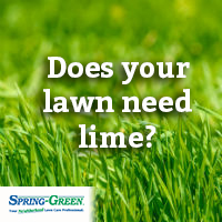 Lime On Lawn: Does Your Grass Need Lime Treatment?