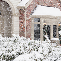Where Do Mosquitoes Go In The Winter?