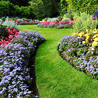 New Year, New Garden: Let the Planning Begin!