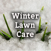 The Secrets To Winter Lawn Care Revealed