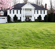Should You Be Seeding Your Lawn This Spring?