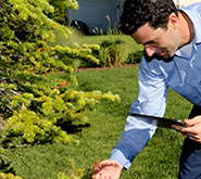 Spring-Green and the Arbor Day Foundation