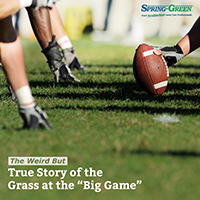 The Weird, Fascinating Story behind the Grass at the “Big Game”