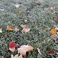 When Will The First Frost Happen?