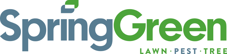 SpringGreen logo